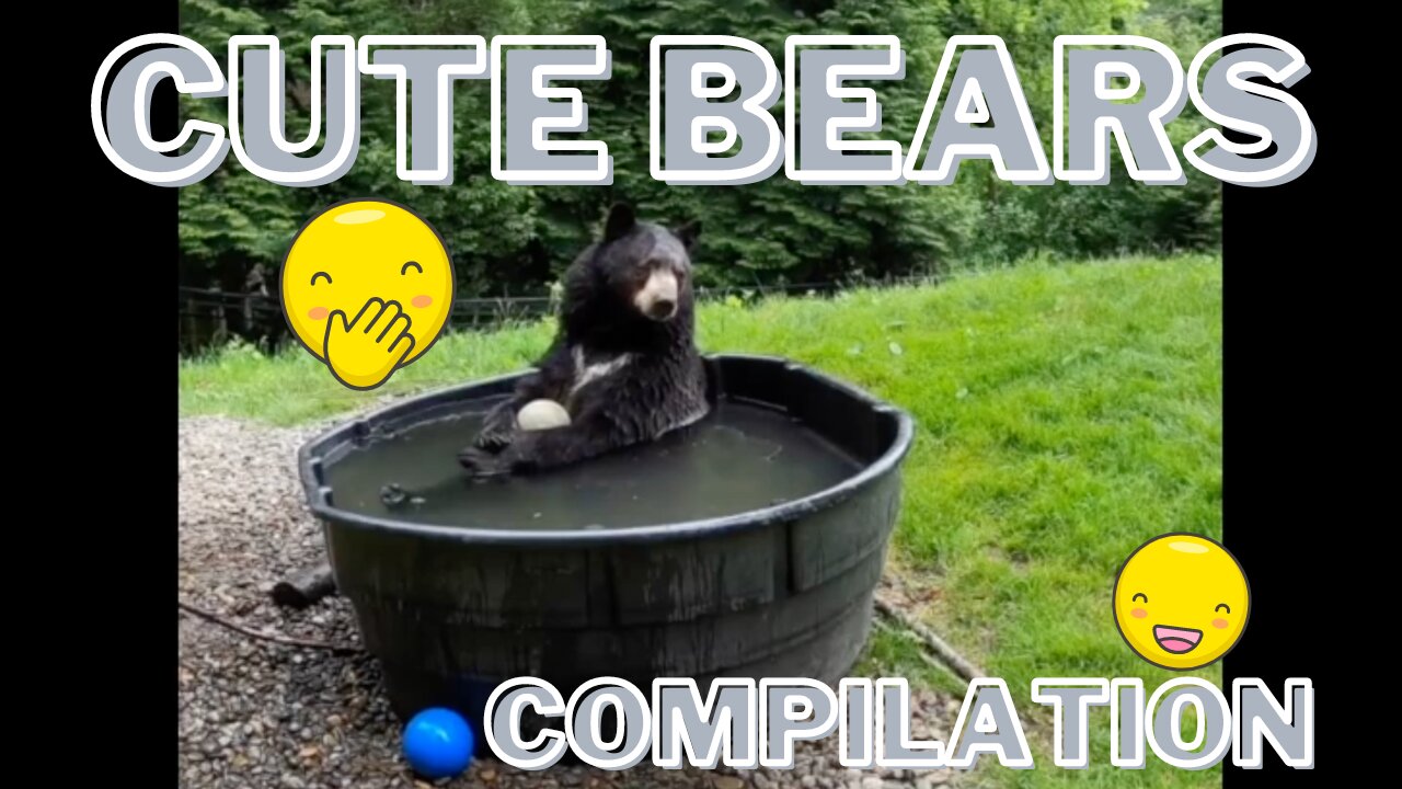 Cute Bears Compilation - Adorable, Funny Bears to Make You Smile