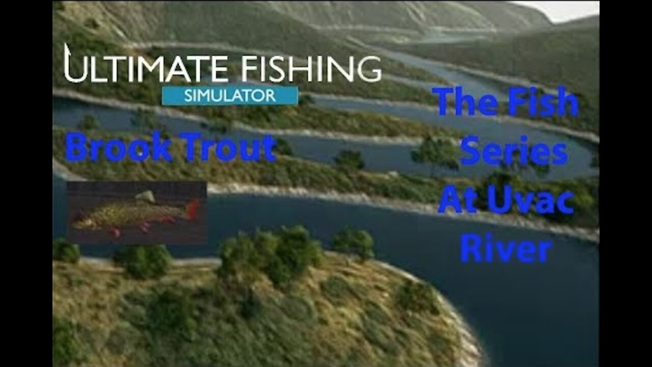 Ultimate Fishing Simulator: The Fish - Uvac River - Brook Trout - [00039]