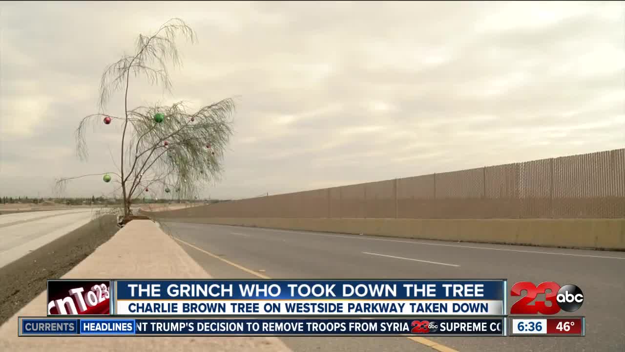 Charlie Brown Christmas tree taken down