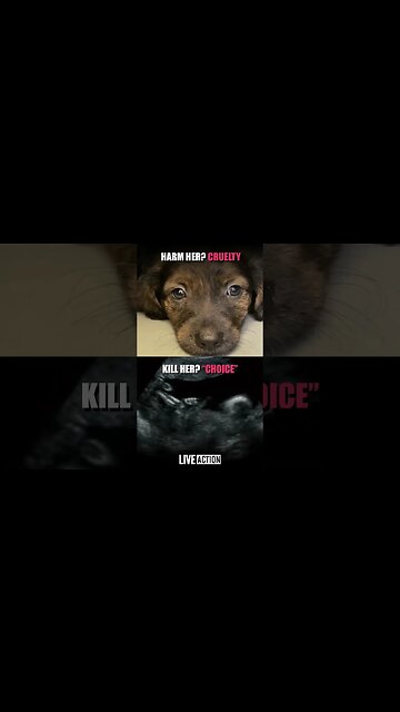 Abortion is child abuse. It's time to outlaw it. #prolife