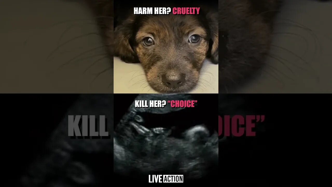 Abortion is child abuse. It's time to outlaw it. #prolife