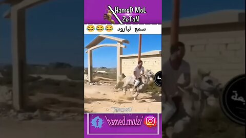 #memes #maroc #memesmaroc #memestiktok #maroc_memes
