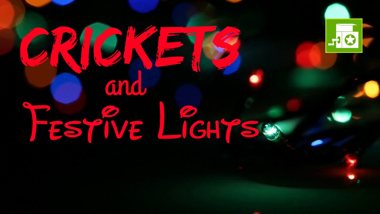 Crickets and Festive Lights | Crickets and Light | Ambient Sound | What Else Is There?