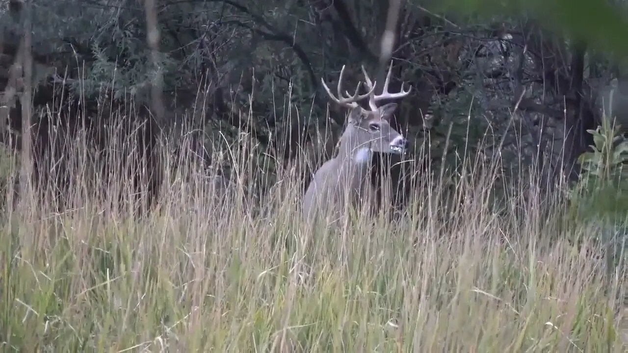 EMOTIONAL! TEARS! FIRST SHOT, FIRST MISS --5x5 whitetail buck missed