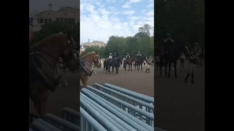 10/15/21 Nancy Drew in DC- Peak at the Officers on Horses for the Fallen Officer Memorial Weekend