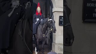 (GET BACK) TOURIST GETS SHOUTED AT #thekingsguard