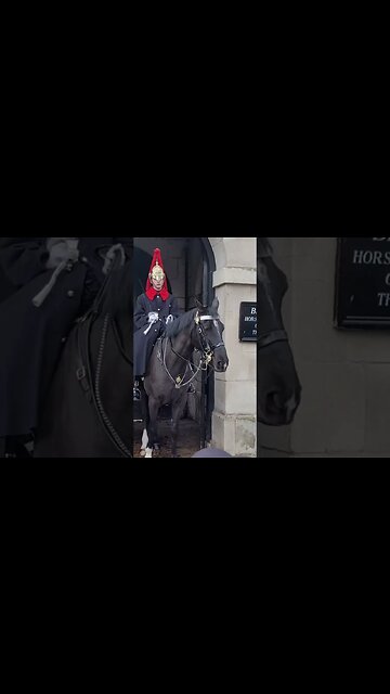 (GET BACK) TOURIST GETS SHOUTED AT #thekingsguard