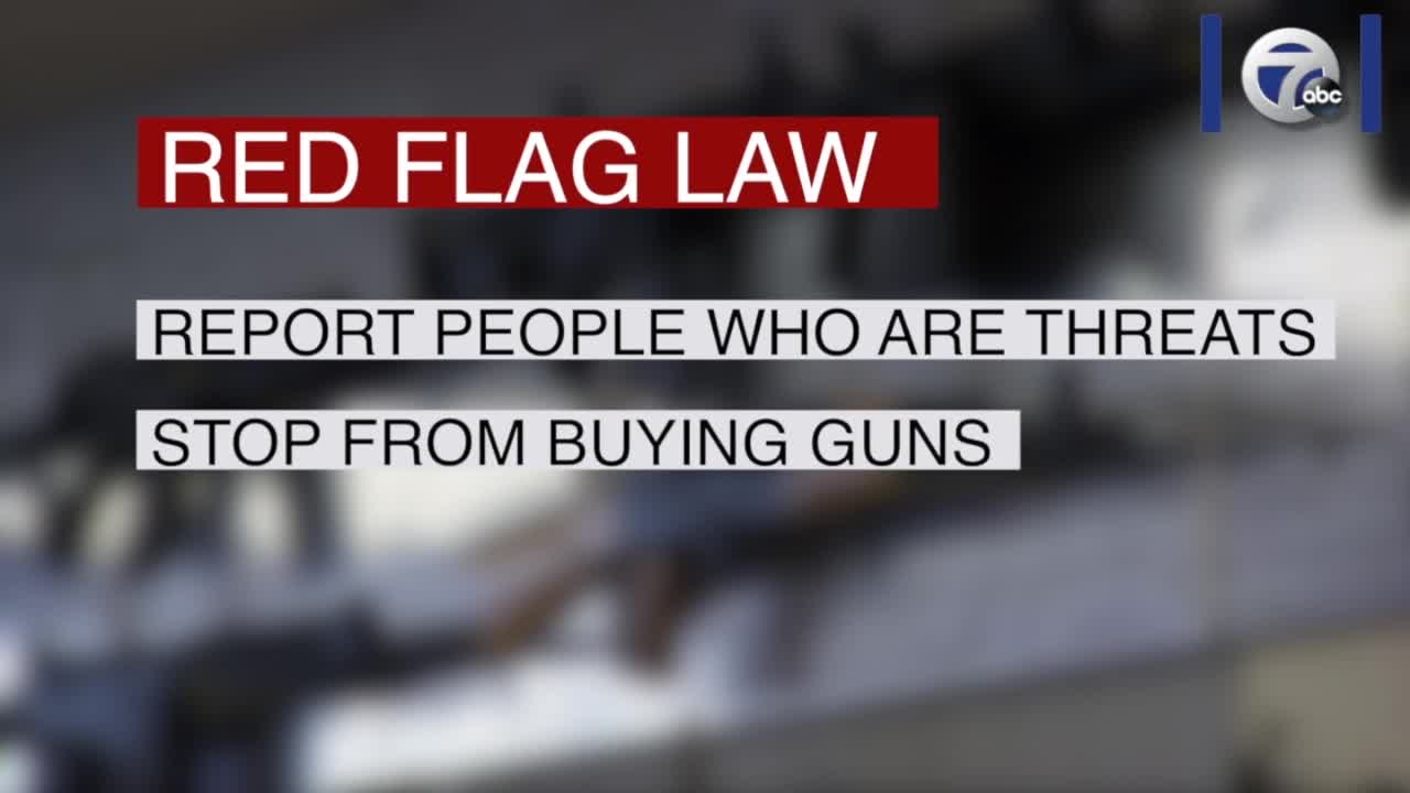 President Trump calls for red flag gun law, mirroring New York State's newest gun legislation