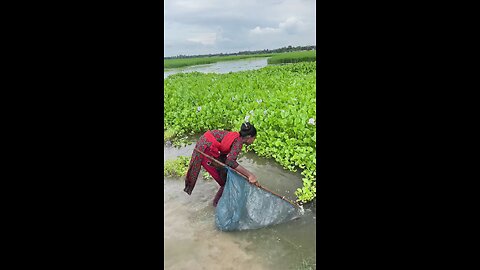 মেয়েটি কি মাছ ধরল দেখুন!