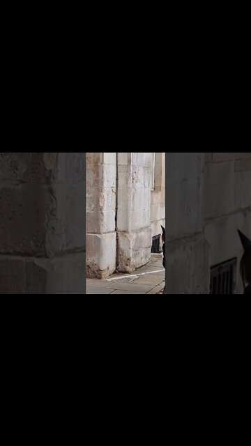 Female guard get back from the arches #horseguardsparade