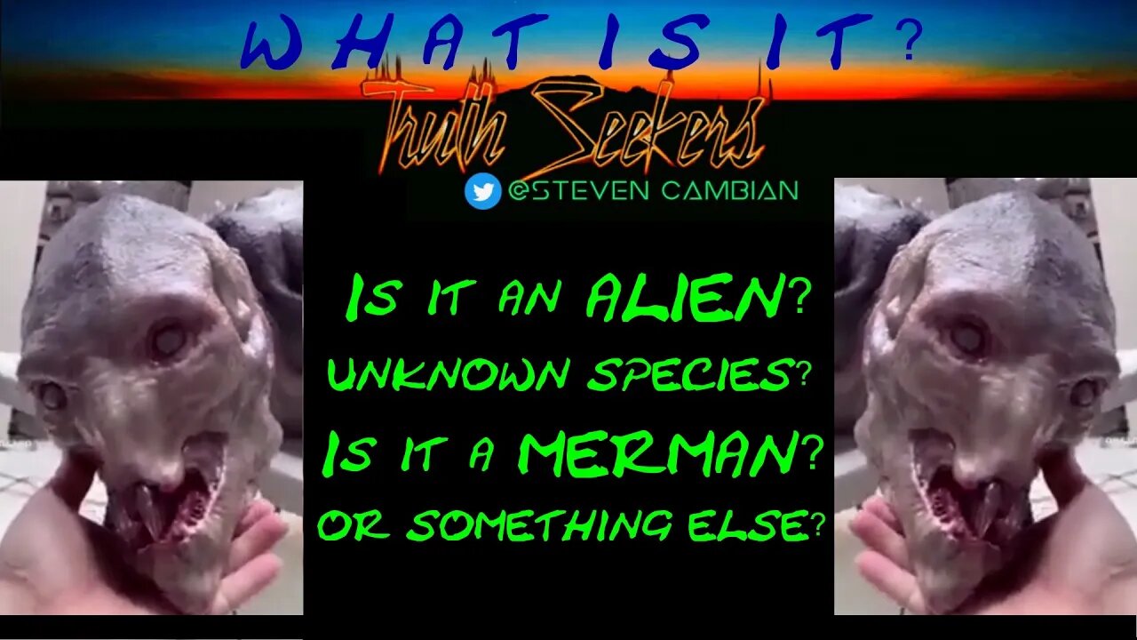 What is it? Alien? Unknown species? Merman? Or something else?