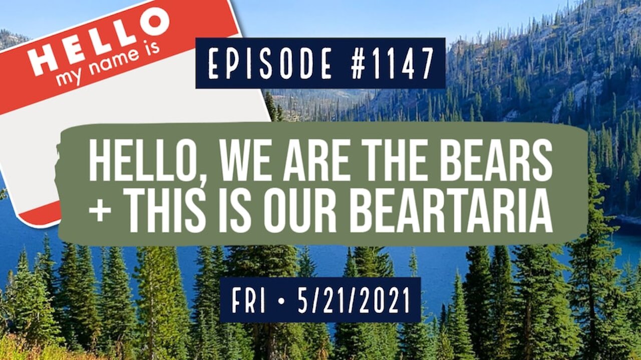 #1147 Hello, We Are The Bears & This Is Our BearTaria