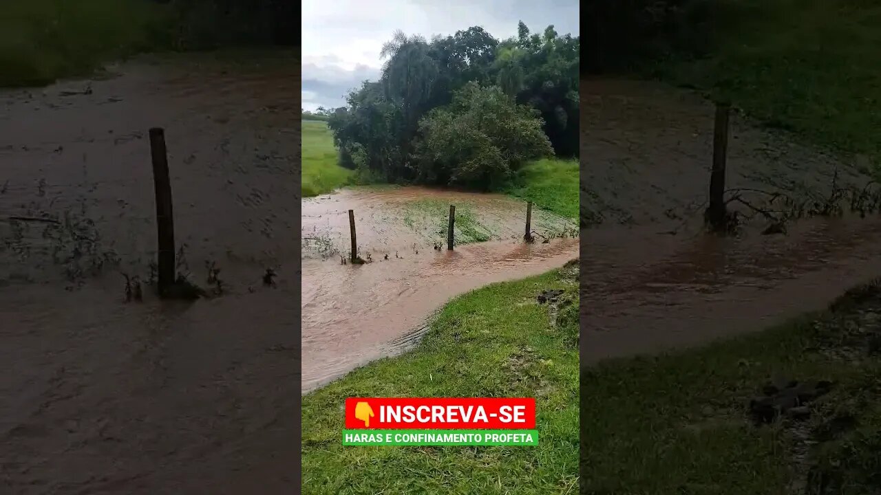 Olha a enchurada, Muita chuva, Água pra todos os lugares🌧️#shorts #roça #sitio #fazenda #chuva #agua