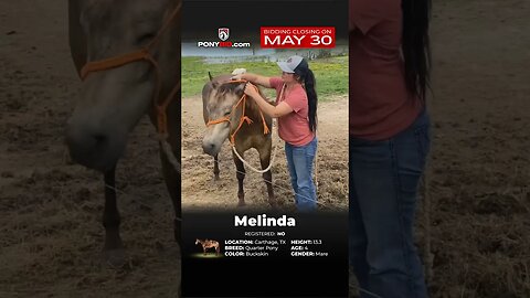 ＭΞＬＩＮＤΛ