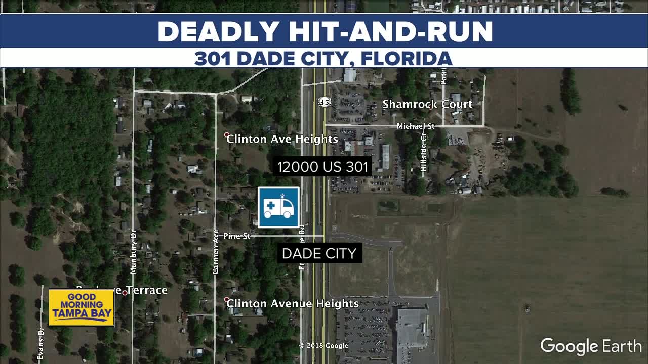 Suspect in deadly Dade City hit-and-run arrested after being following by witnesses