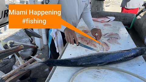 Miami fishing