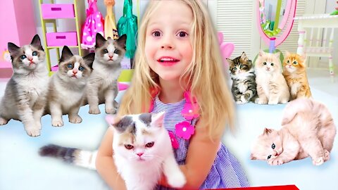 Nastya and her stories for children about a cat and kittens