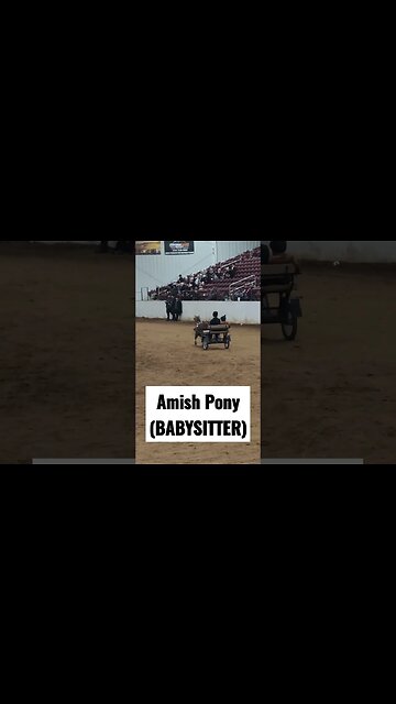 Amish Boys and their Pony