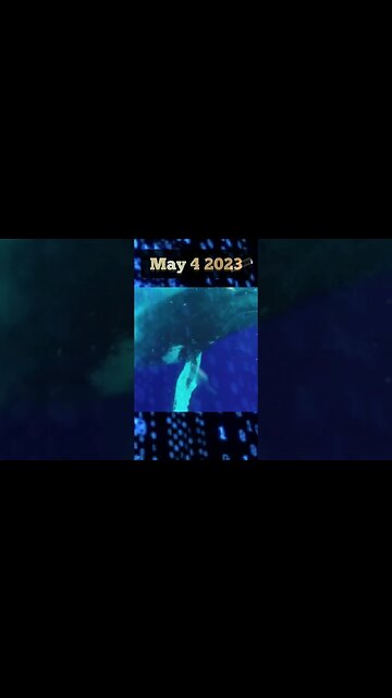 CRYPTO MARKET FORECAST🔮 May 4 2023