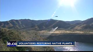 Volunteers Needed for Wildlife Habitat Restoration