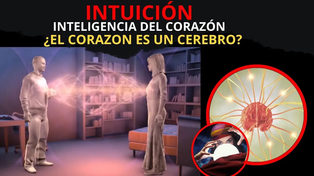 Inteligencia del Corazón ¿EL CORAZON ES UN CEREBRO?