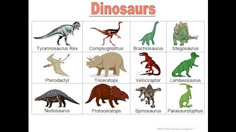 Learn about DINOSAURS🐊 30 Mins Fun & Educational Compilation Dinosaurs For Kids | Dinosaur Facts