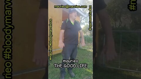 maurieo #shorts THE GOOD LIFE