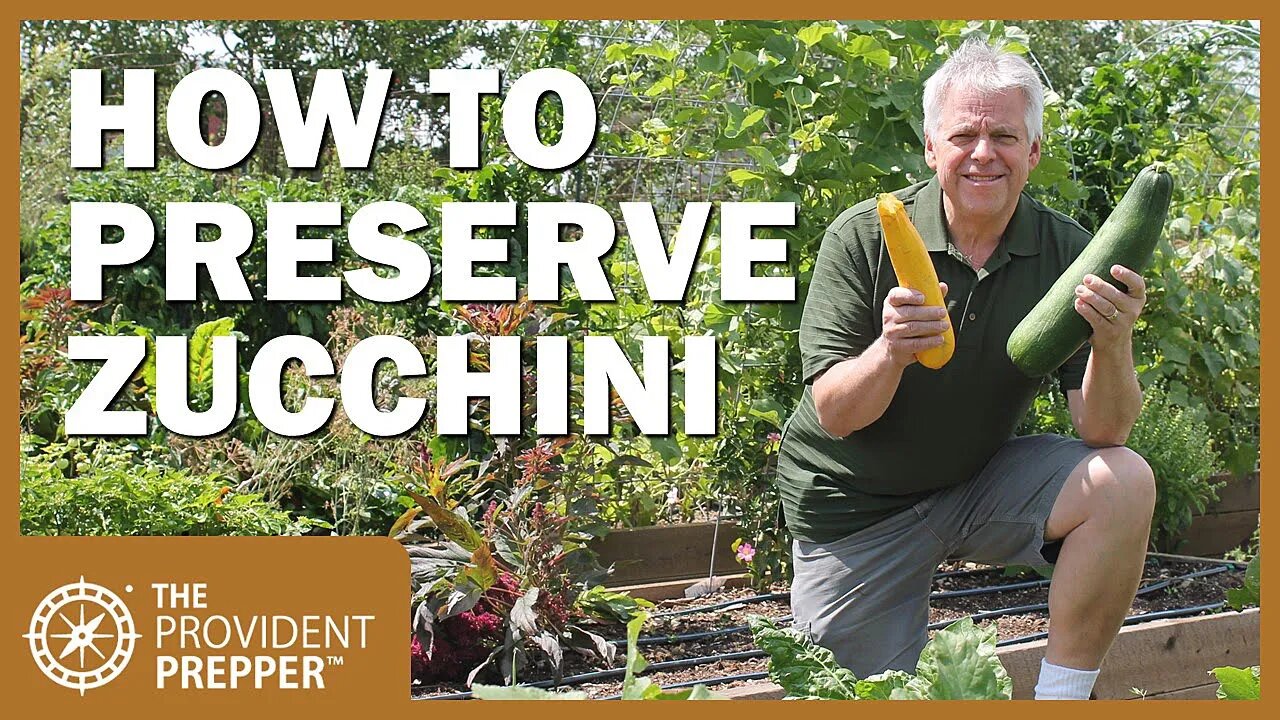 Food Storage: How to Preserve Zucchini for Long Term Storage by Dehydrating or Freeze Drying