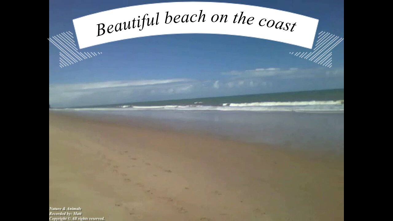 Beautiful beach on the coast of Brazil blessed by a great sun a true paradise Nature Animals