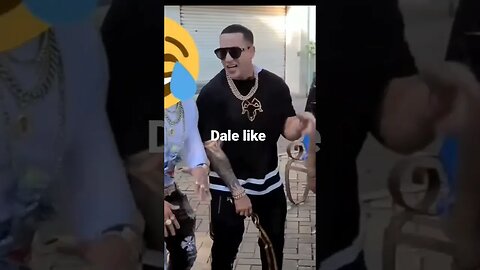 anuel ,el alfa , daddy yankee