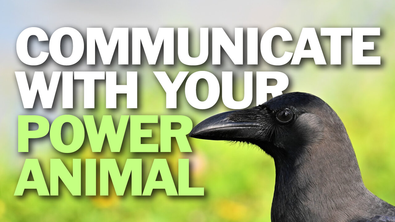 Communicate With Your Power Animal