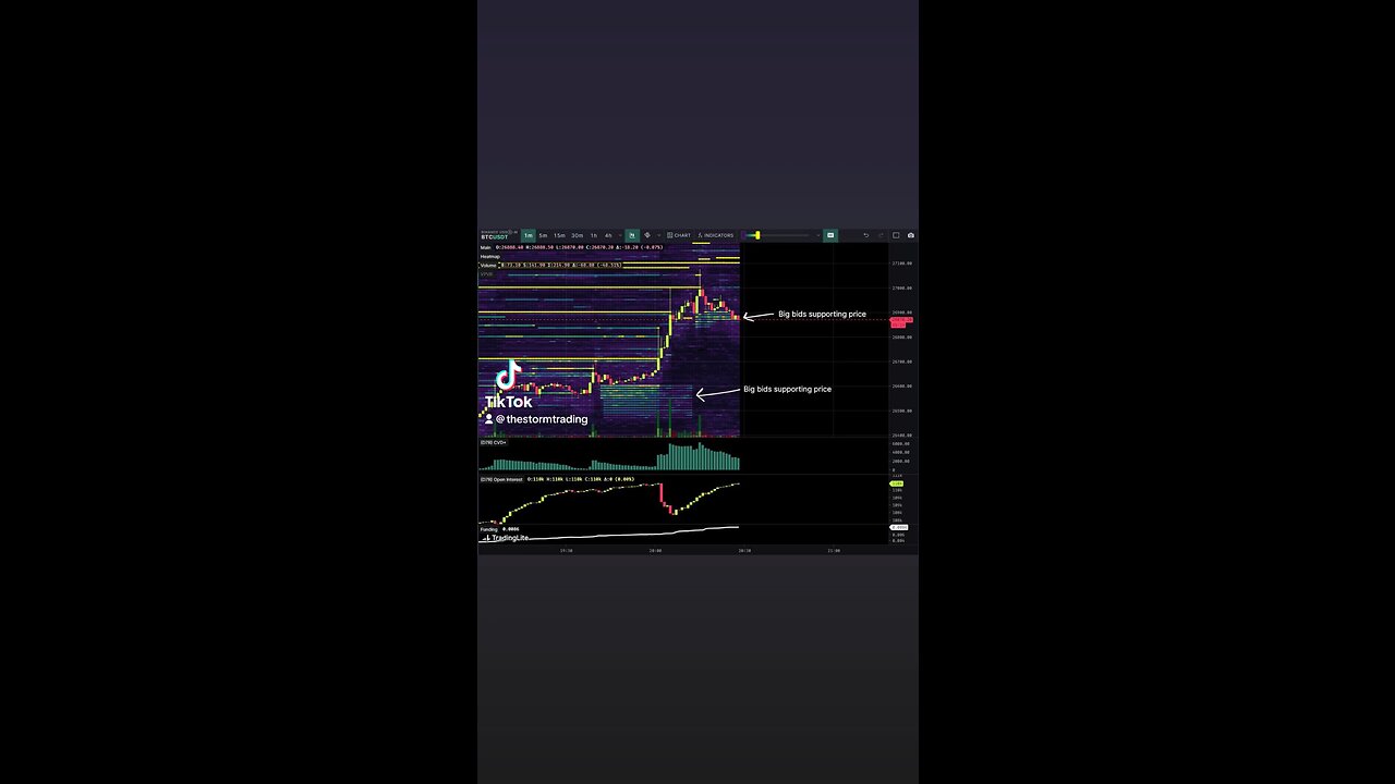 🚨#Bitcoin Whale games at play. We're seeing some big buy walls below price which is pushing it up
