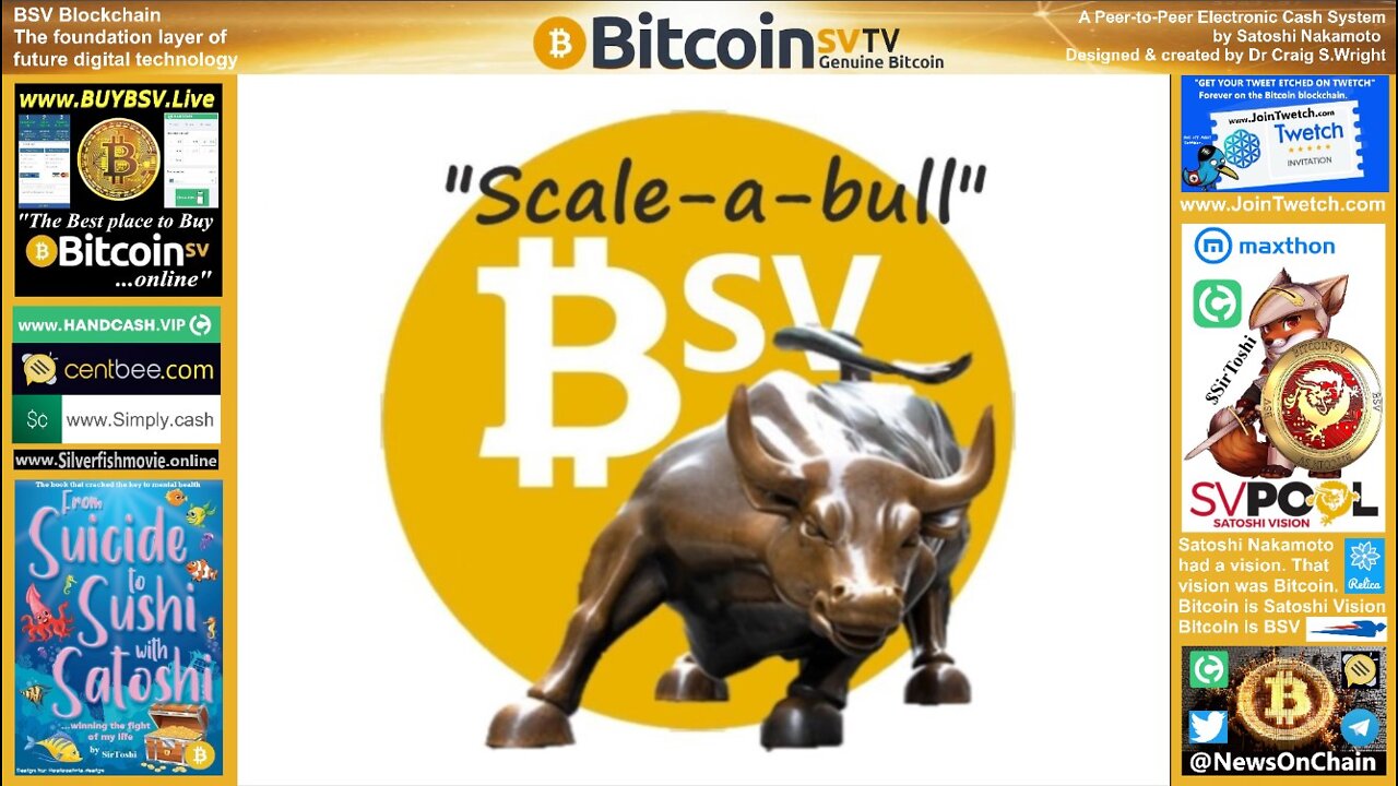 BSV 8k+ Tx Per MWH!!!