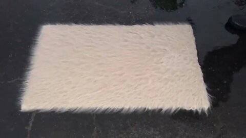 Oddly satisfying ASMR video of a fluffy white rug being washed. Carpet scraping, brushing, scrubbing