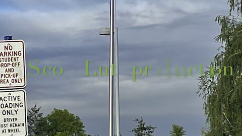 The NIV bible reading part 1: Leviticus 13:1-59