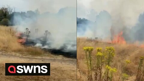 25 firefighters tackled a grass fire the size of around two football pitches