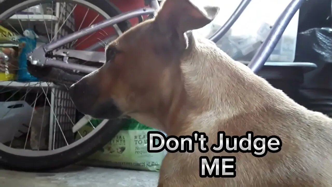 Mommy Time 2 🤣👍