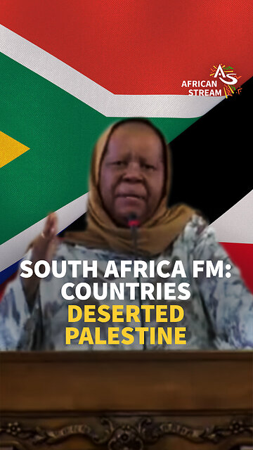 South Africa Fm: Countries Deserted Palestine