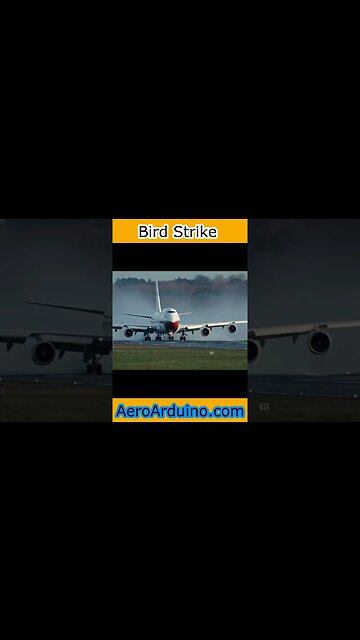 Powerful Bird Strike Impact With #Boeing #B747 Takeoff #Flying #Aviation #AeroArduino