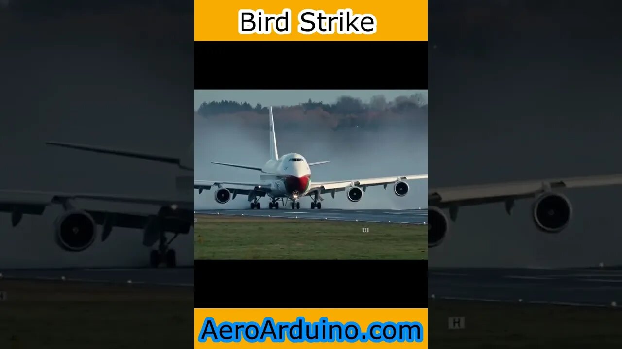 Powerful Bird Strike Impact With #Boeing #B747 Takeoff #Flying #Aviation #AeroArduino