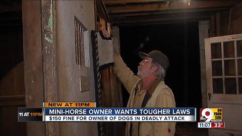 Owner of slain mini horses wants harsher penalties for owners of violent pets