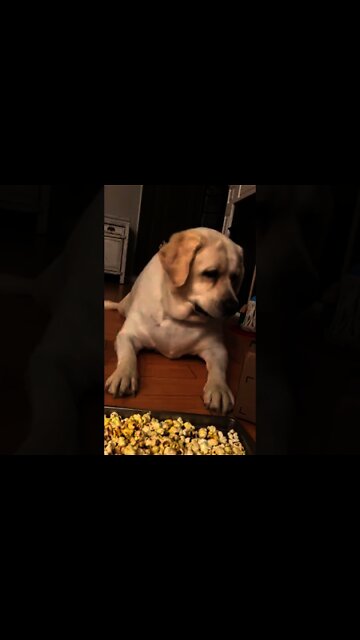 I’m wrapping Birthday gifts with mom and eating popcorn! Don’t tell my sister Gaitlyn! She’s in bed