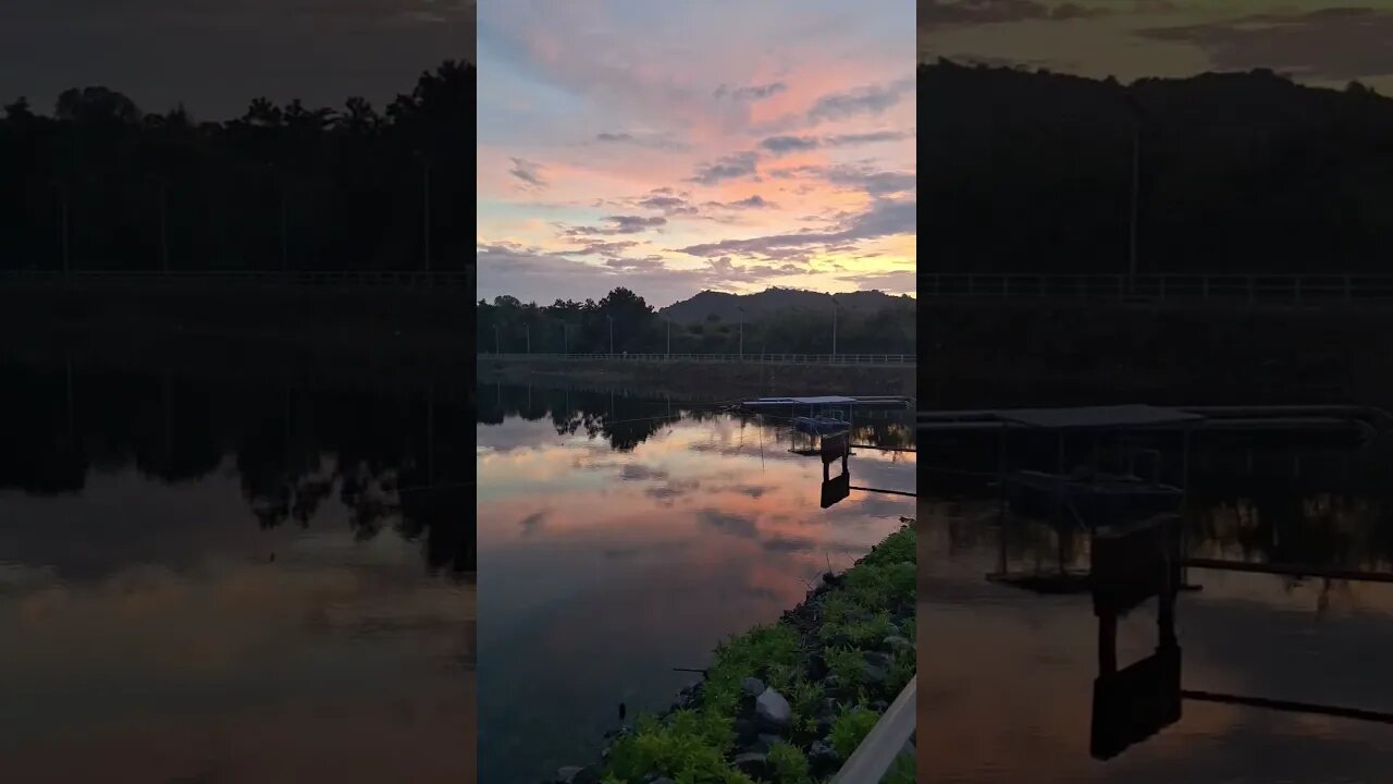 Morning walk around the lake at sunrise.