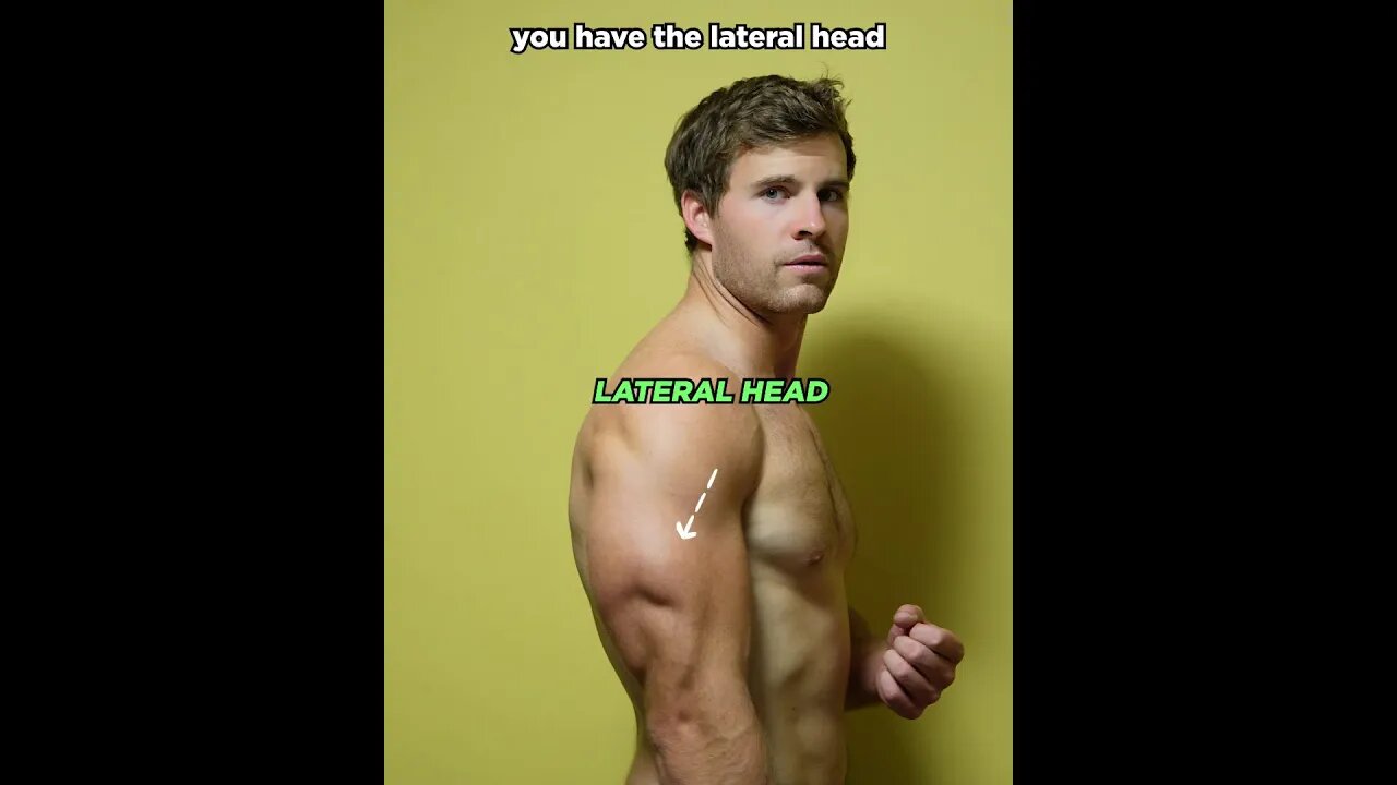 TRICEPS ANATOMY and some tips for growing those HORSE SHOES!