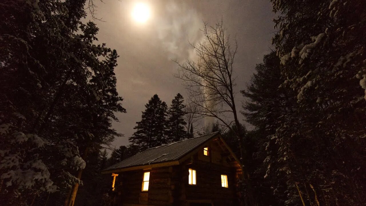 Living with Wolves at my Off Grid Log Cabin in the Wilderness - Homesteading from Scratch