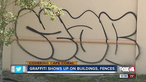 Graffiti shows up all over Cape Coral