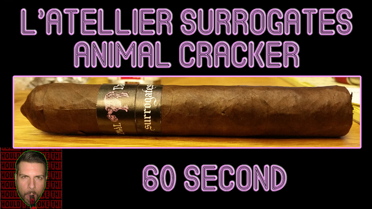 60 SECOND CIGAR REVIEW - L'Atellier Surrogates Animal Cracker - Should I Smoke This