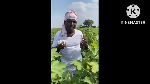 farmer pal