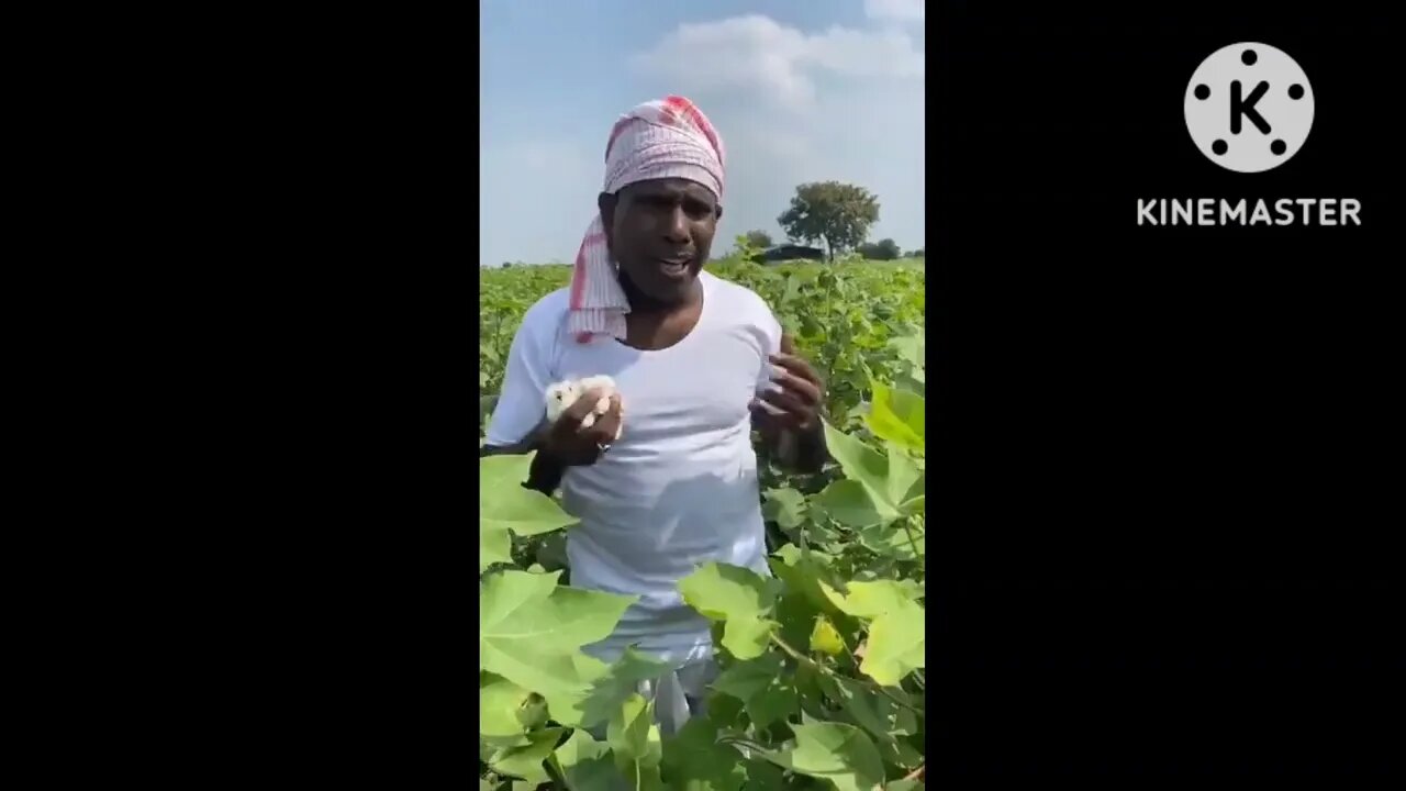 farmer pal