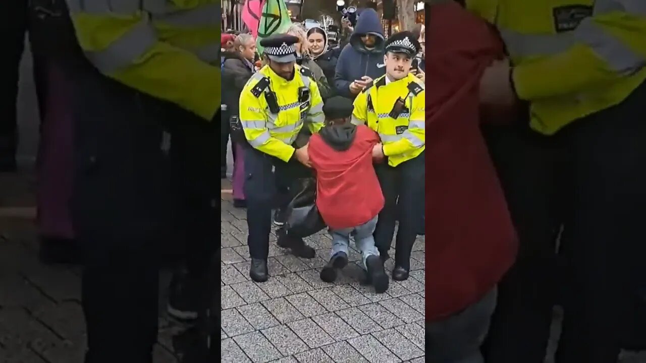 Female stop oil protester carried by her arms #metpolice